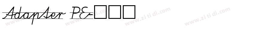 Adapter PE字体转换